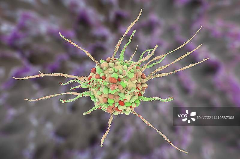 树突状细胞，图示图片素材