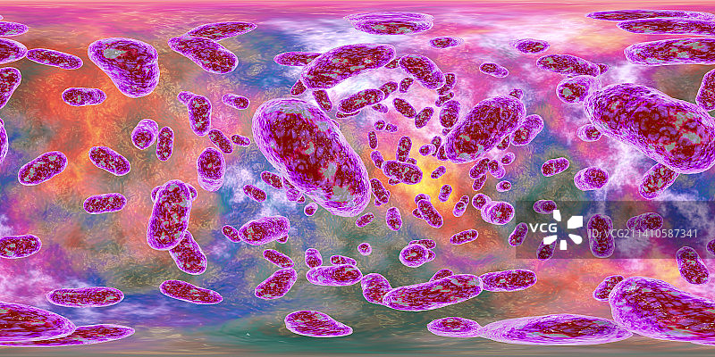 牙龈卟啉单胞菌口腔细菌插图图片素材