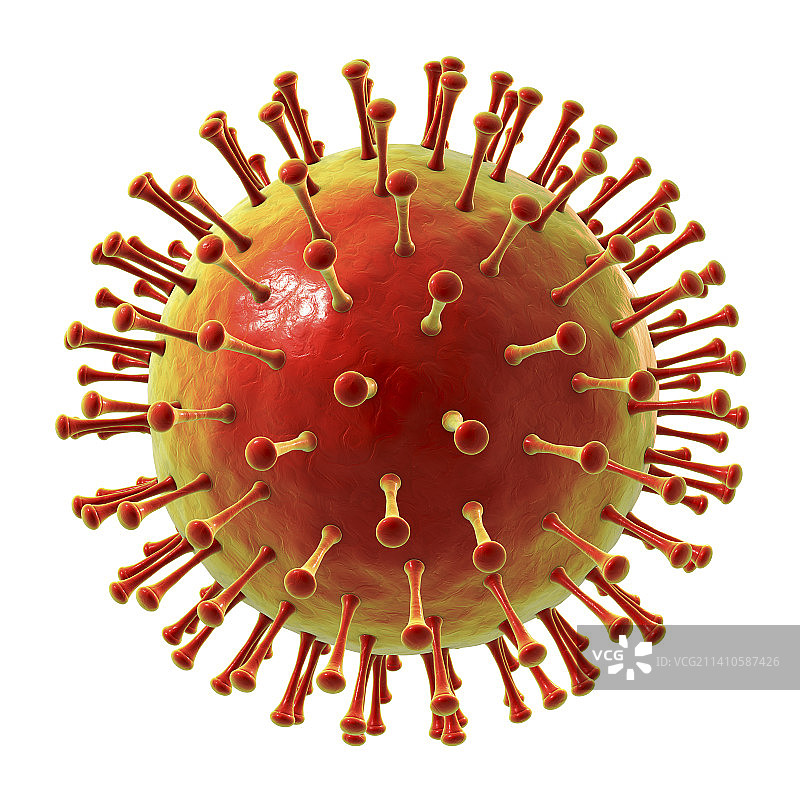 病毒颗粒插图图片素材