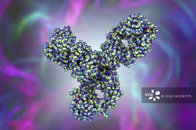 帕博利珠单抗抗体分子模型图片素材
