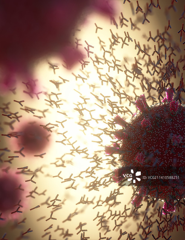 抗体对新冠病毒的反应，图示图片素材