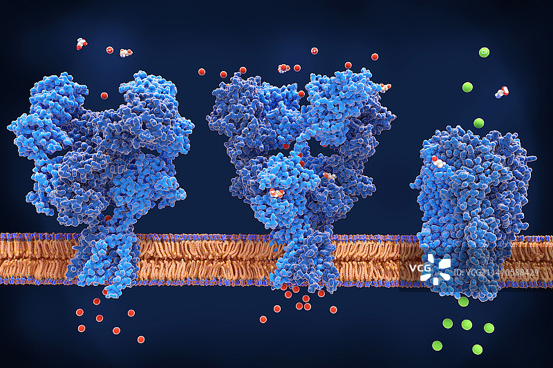 NMDA、AMPA和GABA受体，图示图片素材