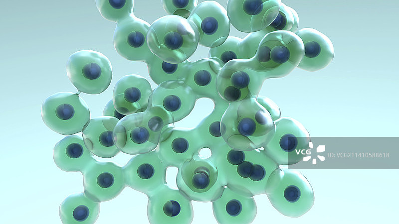 细胞分裂，图示图片素材