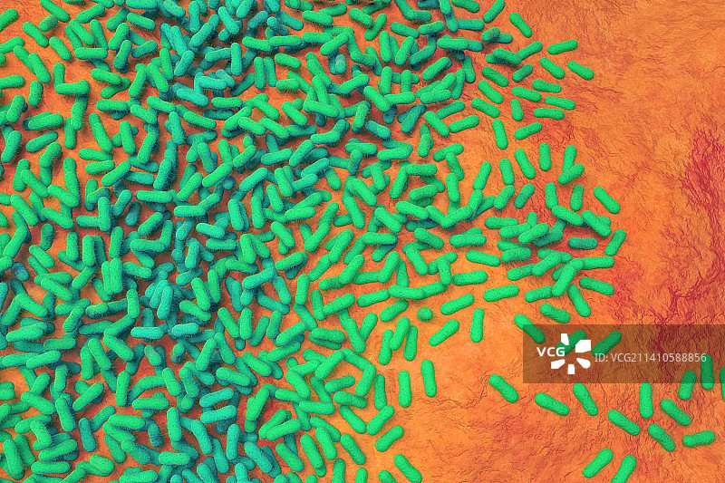 沙门氏菌插画图片素材