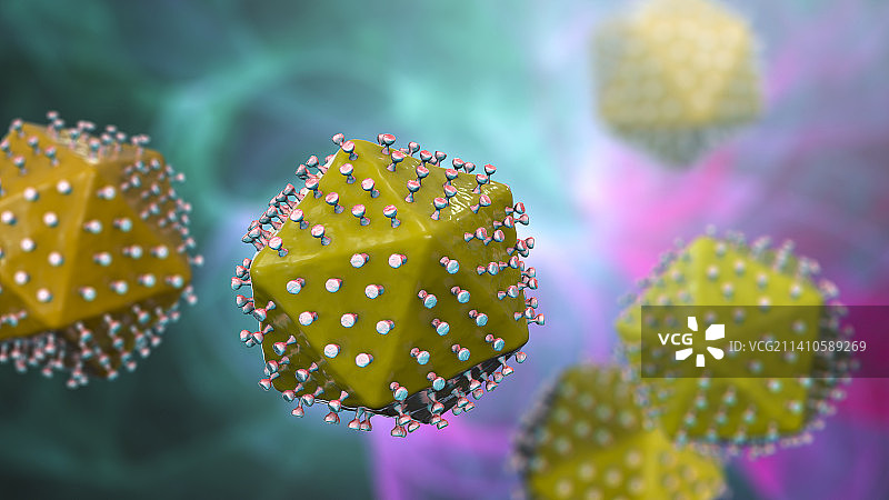 非洲猪瘟病毒示意图图片素材