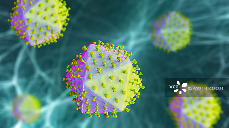 非洲猪瘟病毒示意图图片素材