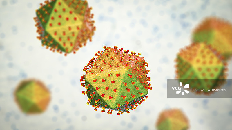 非洲猪瘟病毒示意图图片素材