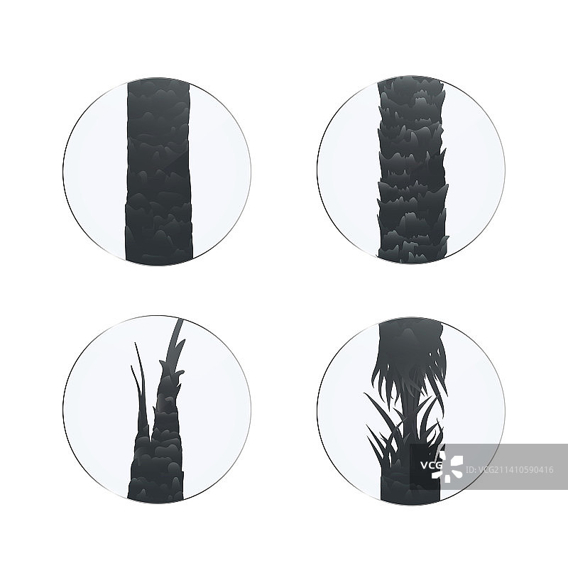 头发损伤类型插图图片素材