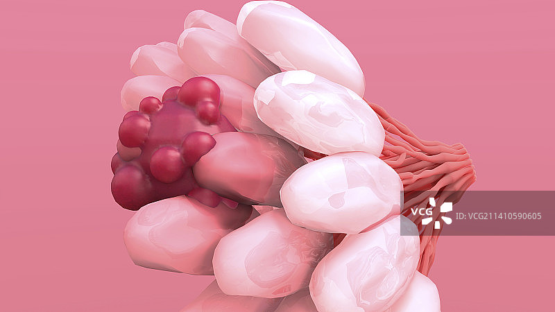 乳腺癌插图图片素材