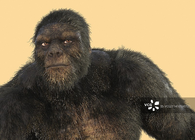 大脚怪插画图片素材