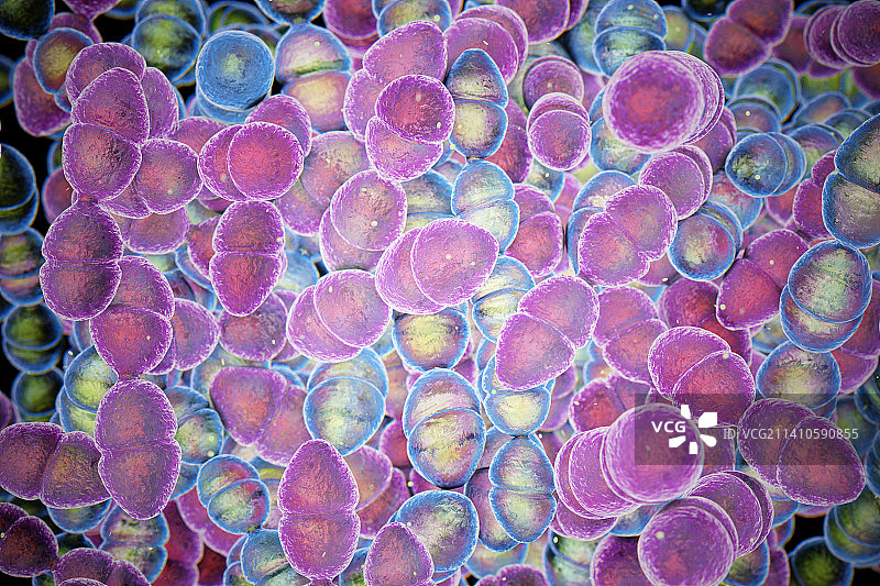 变异链球菌细菌插图图片素材