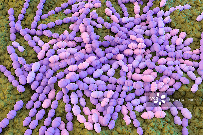 变异链球菌细菌插图图片素材