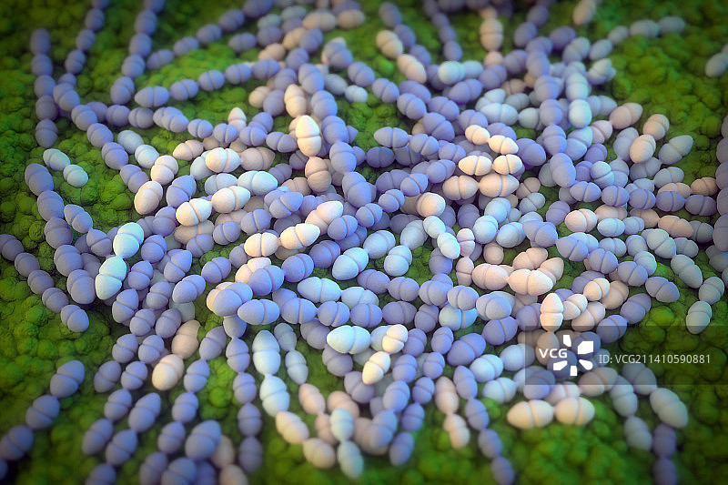 变异链球菌细菌插图图片素材