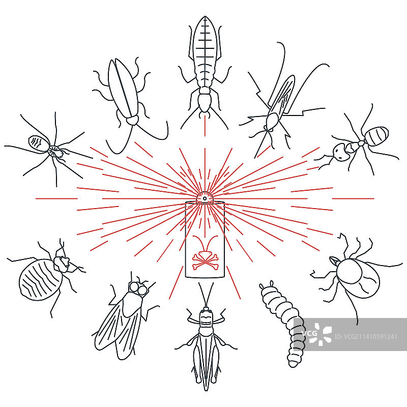 常见害虫概念插图图片素材