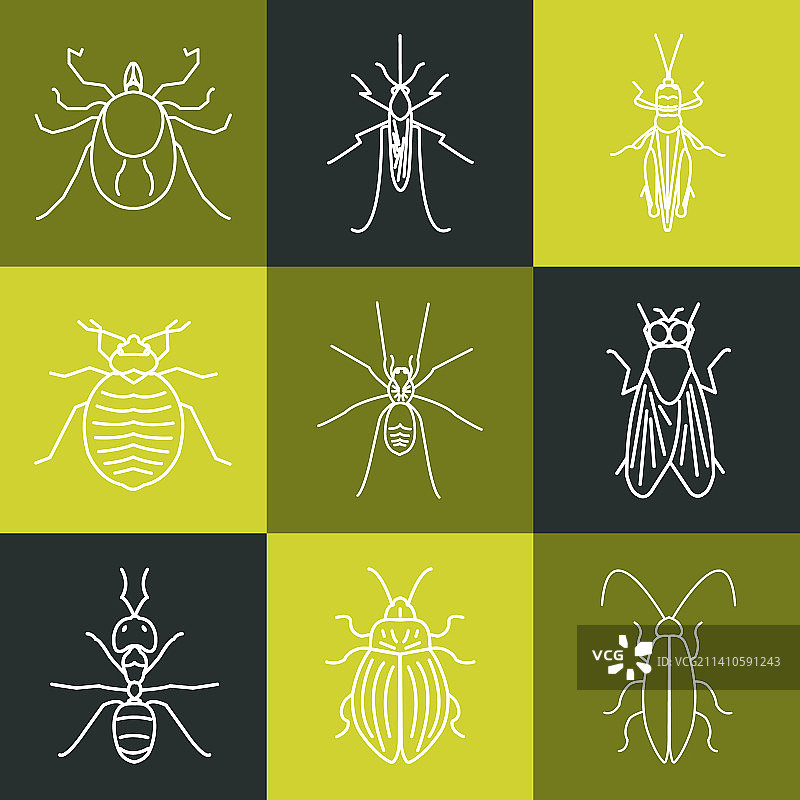 常见害虫概念插图图片素材