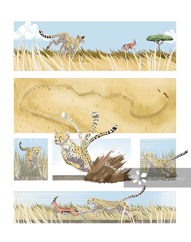 猎豹用尾巴转动，插图图片素材