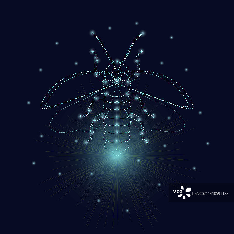 发光萤火虫概念插画图片素材