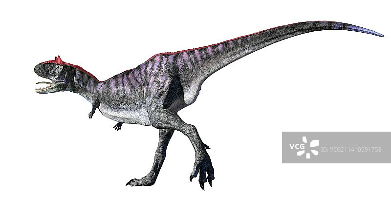 食肉牛龙的艺术作品图片素材