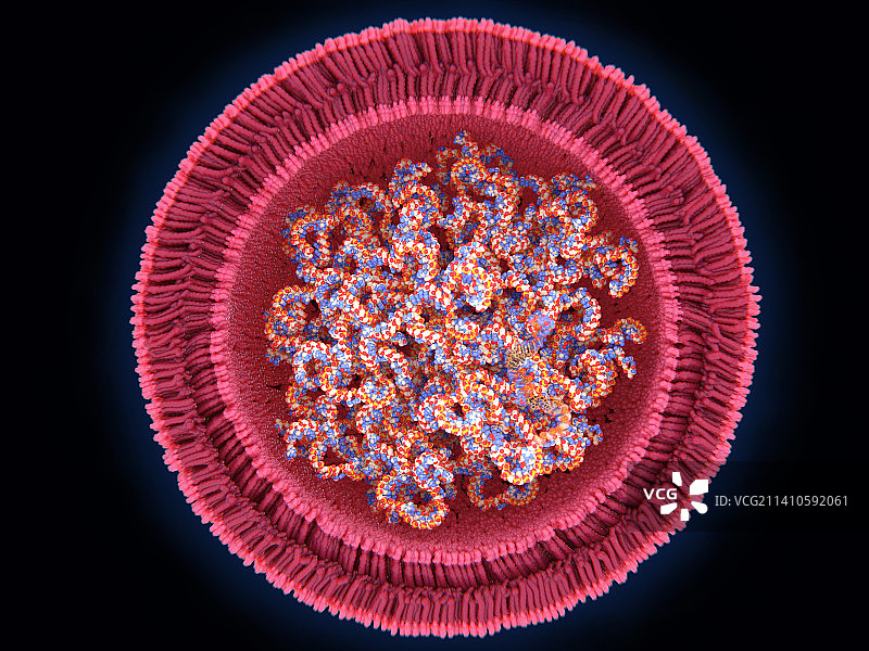 新冠病毒RNA疫苗插画图片素材