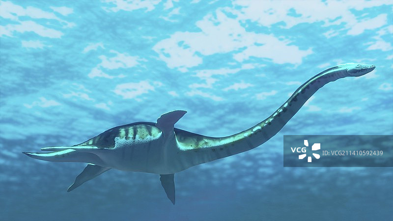 蛇颈龙艺术作品图片素材