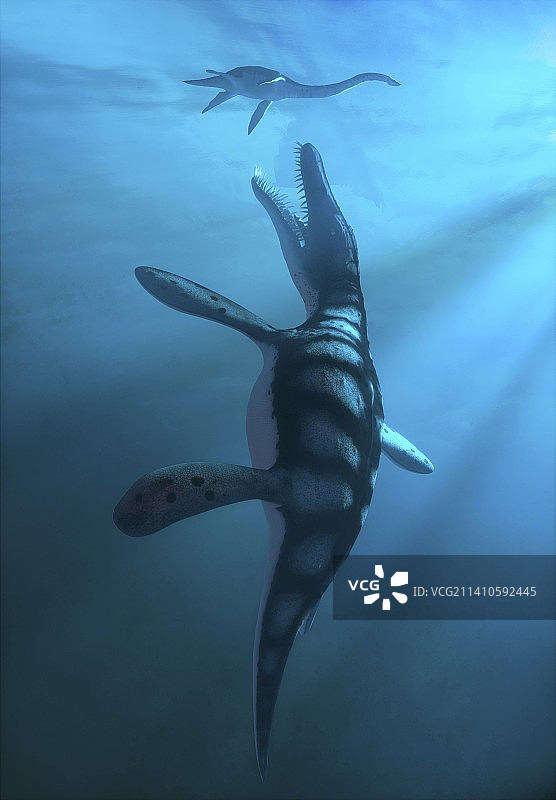 滑齿龙海洋爬行动物插画图片素材