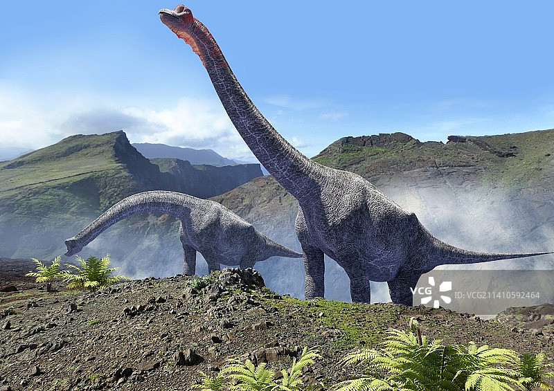 腕龙插画图片素材