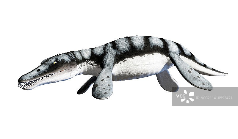 滑齿龙海洋爬行动物示意图图片素材