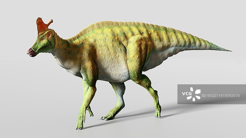 赖氏龙的艺术图图片素材