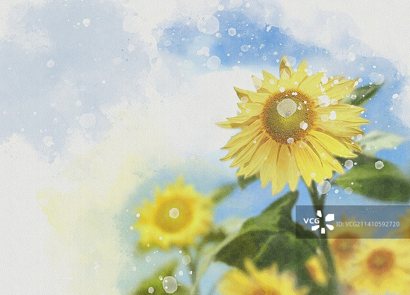 向日葵插画图片素材