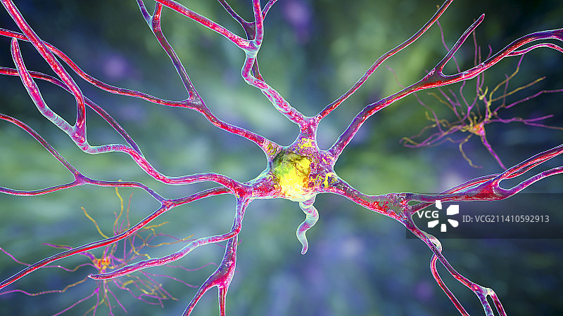 人脑神经细胞图图片素材