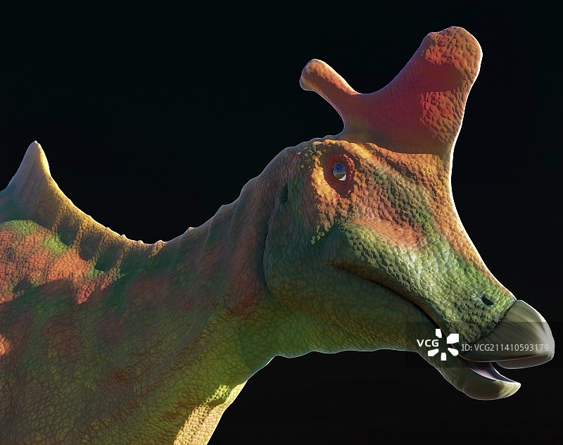 兰贝龙恐龙头部图片素材