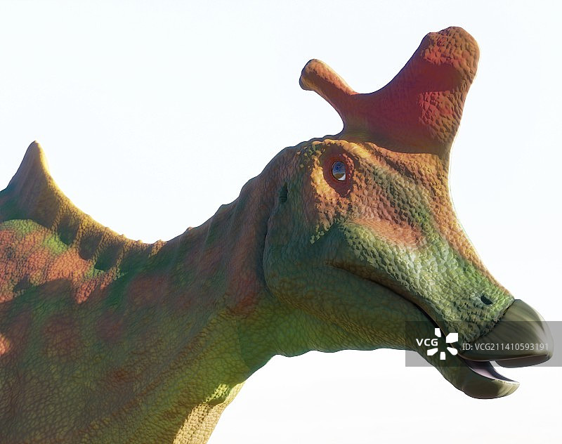 兰贝龙恐龙头部图片素材