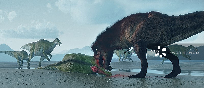 捕食埃德蒙顿龙的霸王龙图片素材