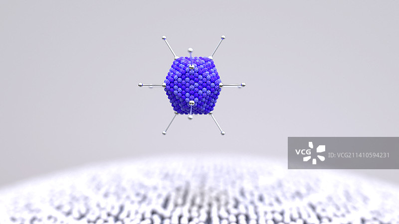 腺病毒插图图片素材