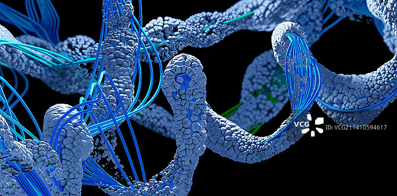 蛋白质，插图图片素材