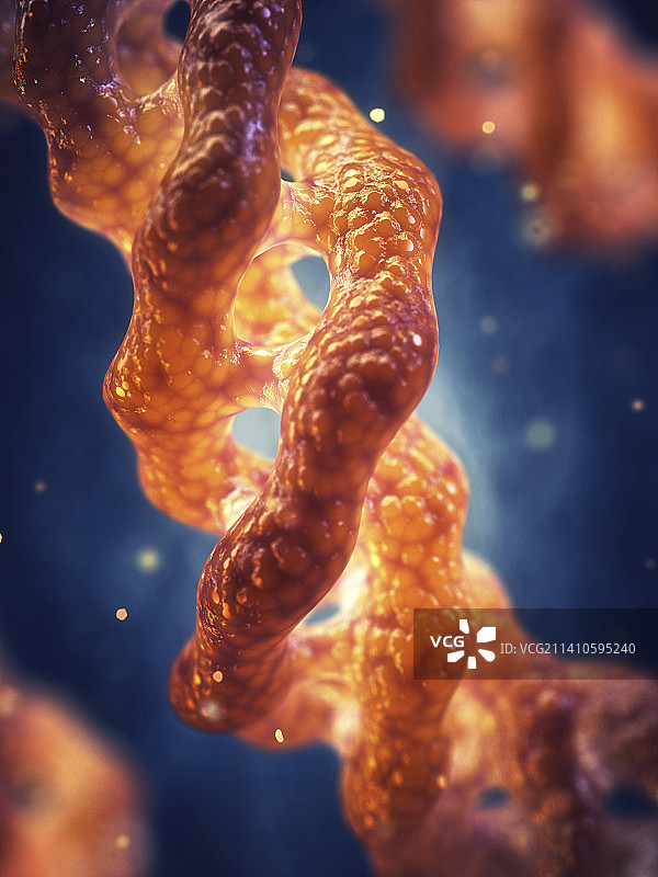 胶原蛋白三螺旋分子结构图图片素材