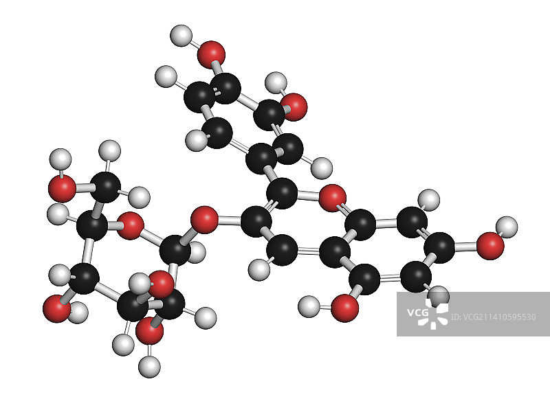 菊花色素植物分子结构示意图图片素材