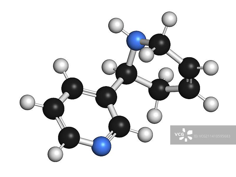 茄碱生物碱分子结构示意图图片素材