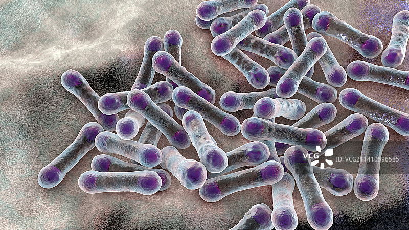 白喉棒状杆菌插图图片素材
