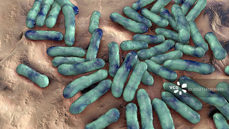 痤疮丙酸杆菌细菌示意图图片素材