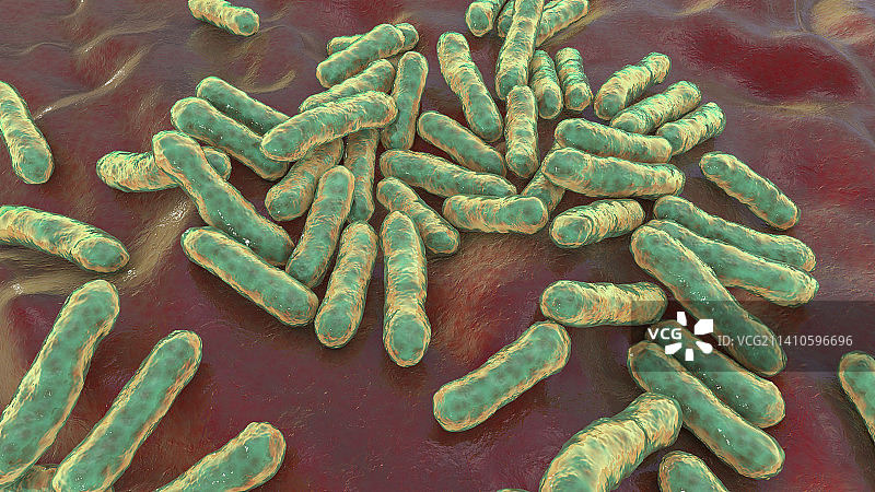 痤疮丙酸杆菌细菌示意图图片素材