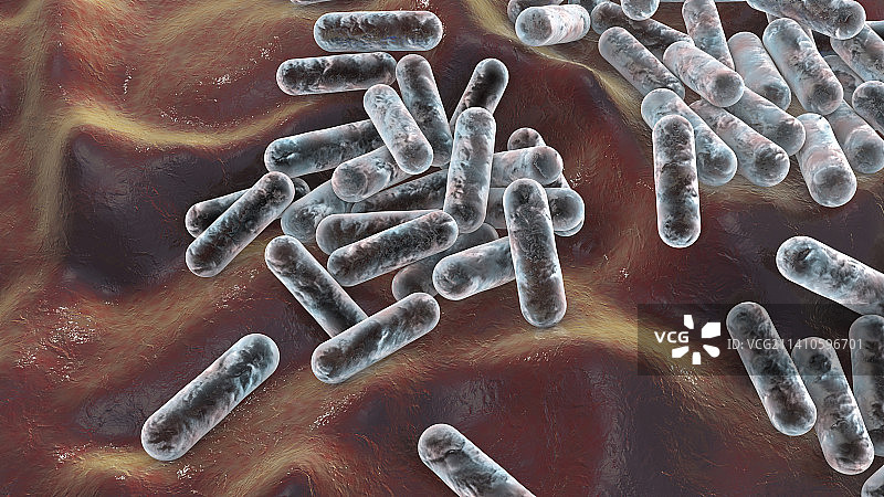 痤疮丙酸杆菌细菌示意图图片素材