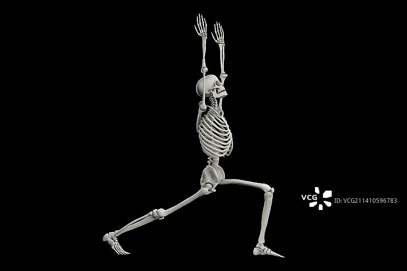 战士一瑜伽姿势的骨骼插画图片素材