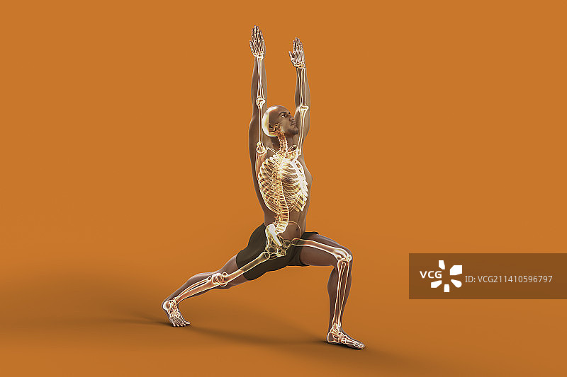 战士一式瑜伽姿势男人插画图片素材