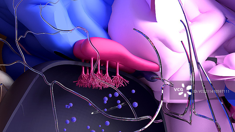 新冠肺炎引起的嗅觉丧失插图图片素材