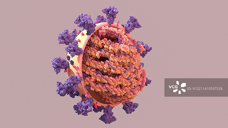 新冠病毒颗粒插画图片素材