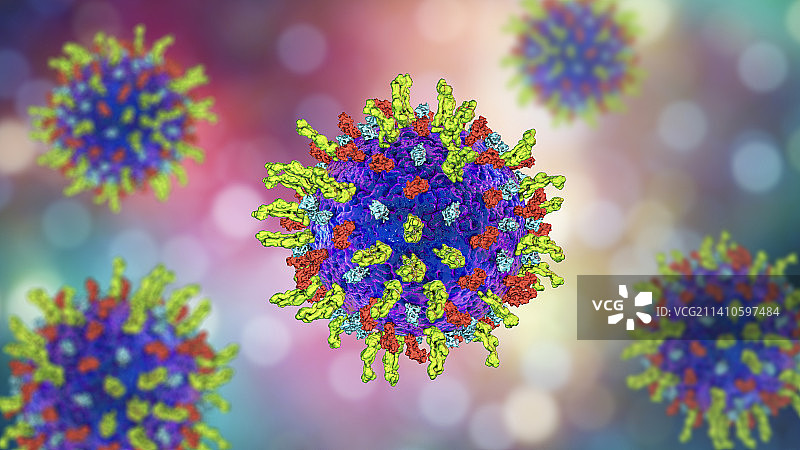 单纯疱疹病毒，图示图片素材