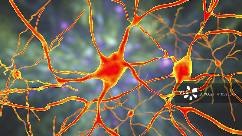 大脑神经元图示图片素材