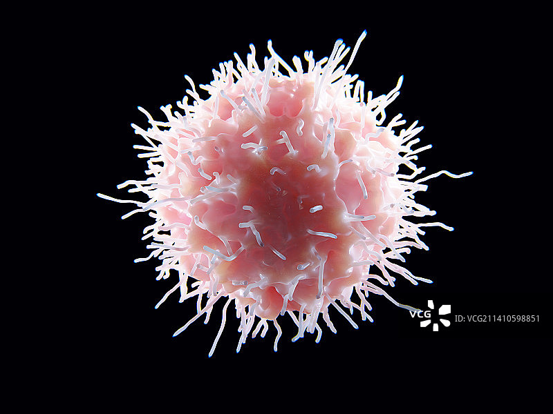 自然杀伤细胞插图图片素材