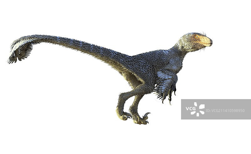 恐爪龙艺术作品图片素材